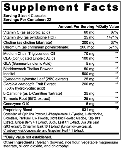 Fat Burner with MCT™ – Garcinia Cambogia, L-Carnitine & CLA | Supports Weight Loss & Metabolism | 90 Caps